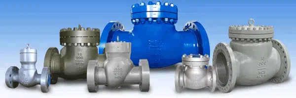 China-Check-Valve-Manufacturer-1