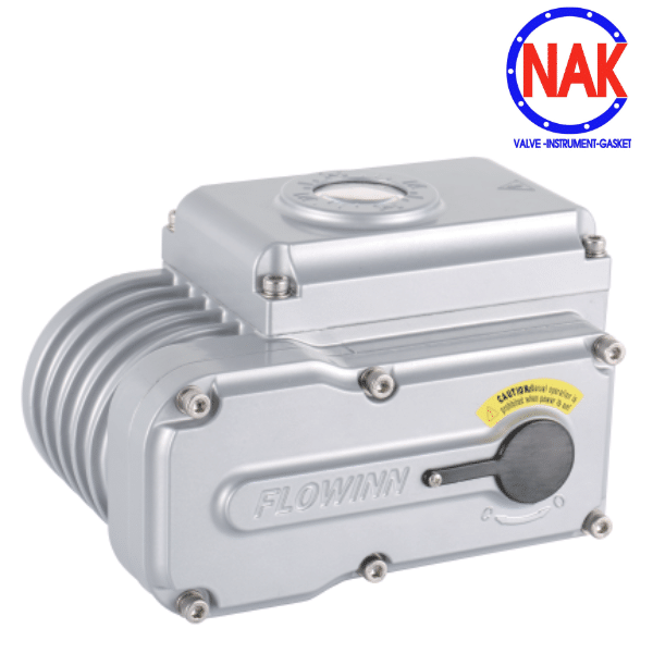 Giới Thiệu Bộ Điều Khiển Điện FLOWINN EOT10 Giới Thiệu Bộ Điều Khiển Điện FLOWINN EOT10