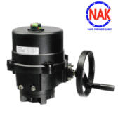 Giới Thiệu Bộ Điều Khiển Điện Cơ Bản FLOWINN EOM 2 Đến 9