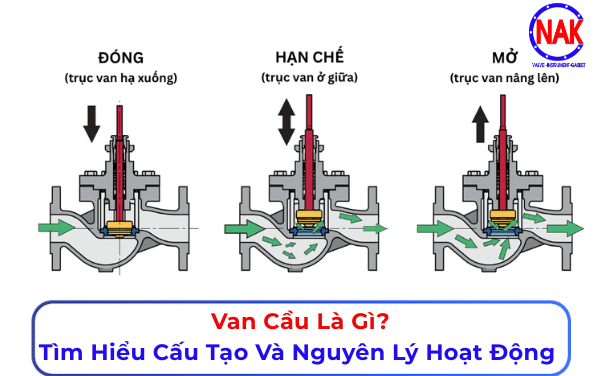 Van Cầu Là Gì Tìm Hiểu Cấu Tạo Và Nguyên Lý Hoạt Động Của Van Cầu