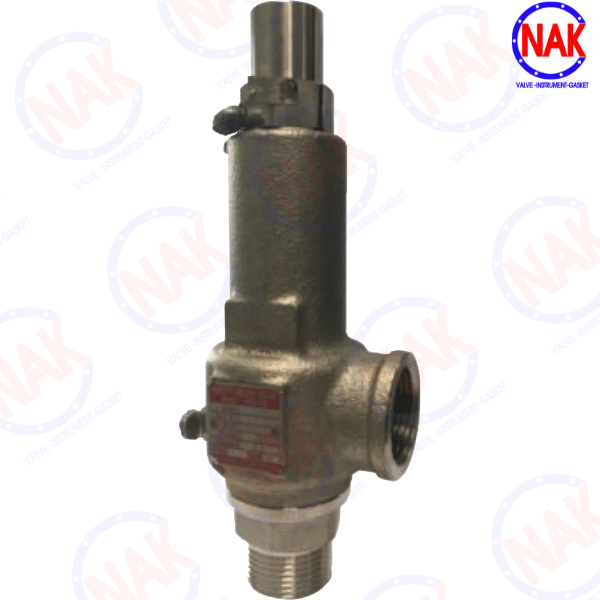 Giới Thiệu Van An Toàn YNV HSV 4S Giới Thiệu Van An Toàn YNV HSV 4S