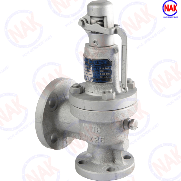 Giới Thiệu Van An Toàn YNV FSV-2F Giới Thiệu Van An Toàn YNV FSV-2F