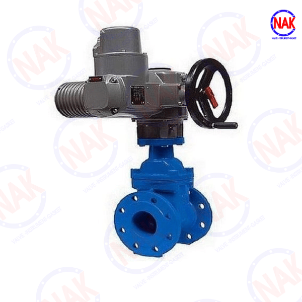 Van Cổng Ty Chìm Điều Khiển Điện Van Cổng Ty Chìm Điều Khiển Điện