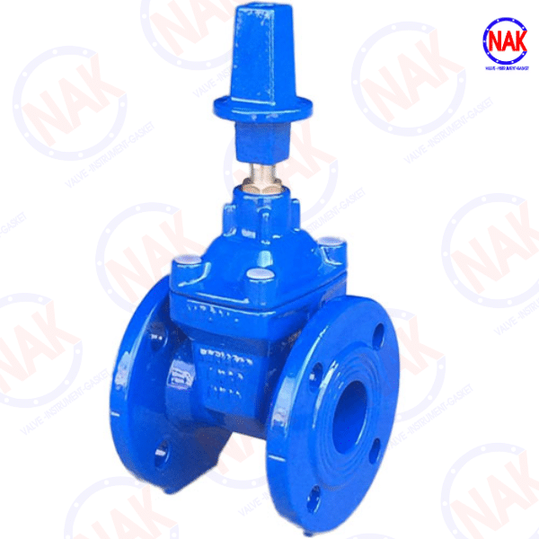 Van Cổng Ty Chìm Nắp Chụp Van Cổng Ty Chìm Nắp Chụp