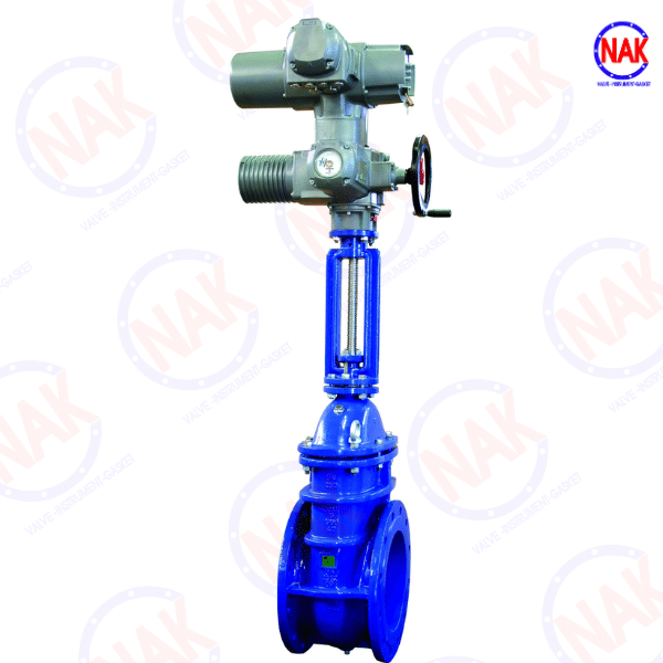 Van Cổng Ty Nổi Điều Khiển Điện Van Cổng Ty Nổi Điều Khiển Điện
