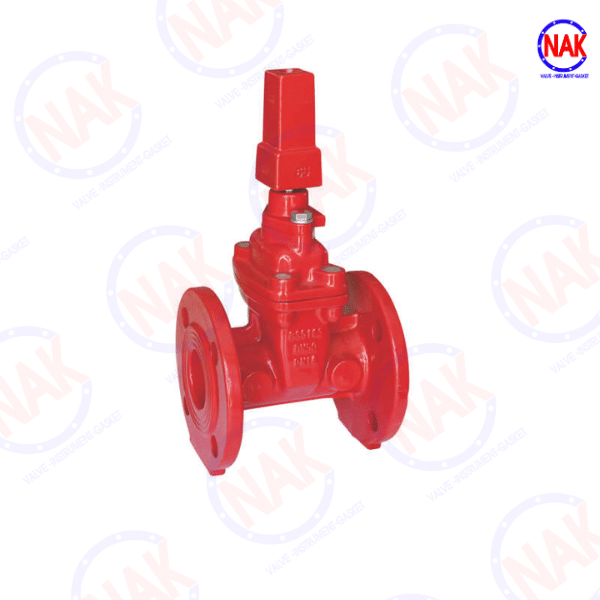 Van Cổng Ty Nổi Nắp Chụp Van Cổng Ty Nổi Nắp Chụp