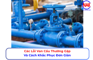 Các Lỗi Van Cầu Thường Gặp Và Cách Khắc Phục Đơn Giản