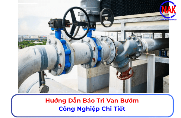 Hướng Dẫn Bảo Trì Van Bướm Công Nghiệp Chi Tiết